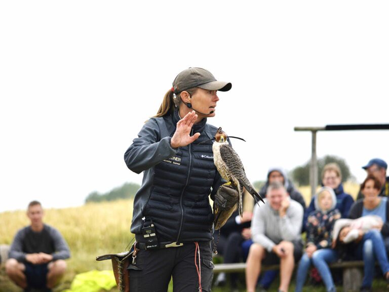 Teambuilding med Falkecenter Samsø