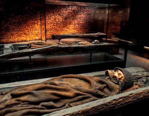 Moesgaard Museum Borum Eshøj Grave